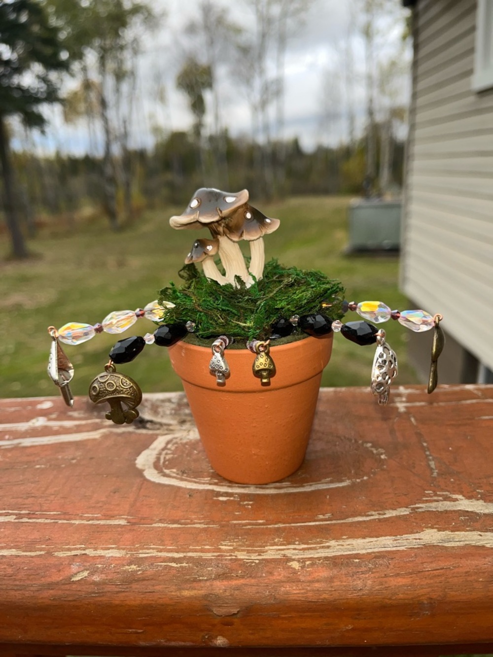 White and Black Beaded Mushroom Plant